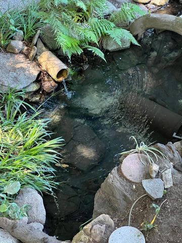 11370 Clear Creek Road, Brookdale, CA 95007