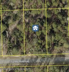 11323 Furley Avenue, Spring Hill, FL 34613