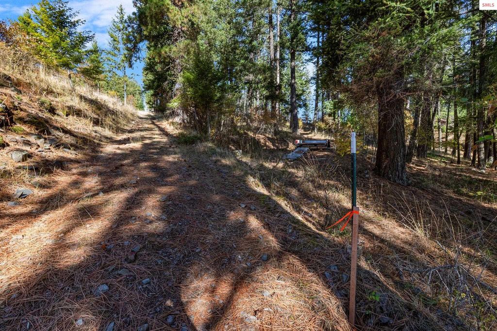 376 Walston Ln., Sagle, ID 83864 photo 30