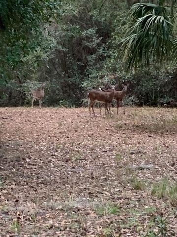 16303 SW 75TH STREET, Archer, FL 32618