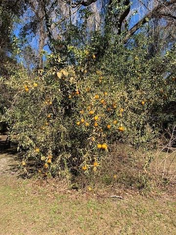 16303 SW 75TH STREET, Archer, FL 32618