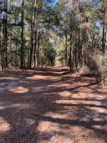 16303 SW 75TH STREET, Archer, FL 32618