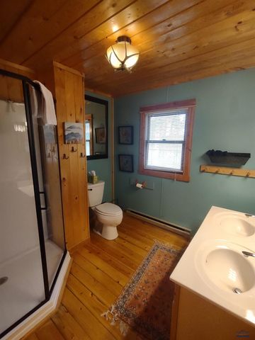 21173 LAST CHANCE TRAIL, Lead, SD 57754