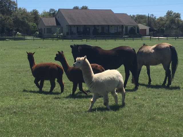 611 Post Oak DR, Dripping Springs, TX 78620