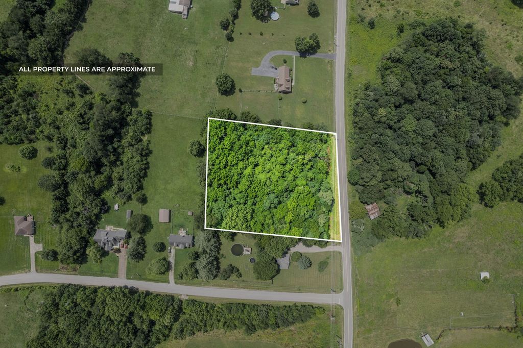 2809 Lake Road, Woodlawn, TN 37191