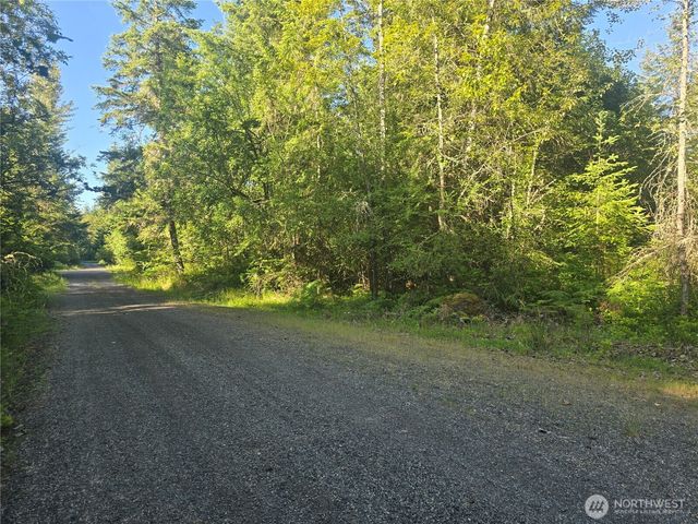 13721 Starflower Lane SE, Yelm, WA 98597