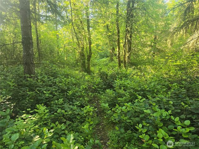 13721 Starflower Lane SE, Yelm, WA 98597