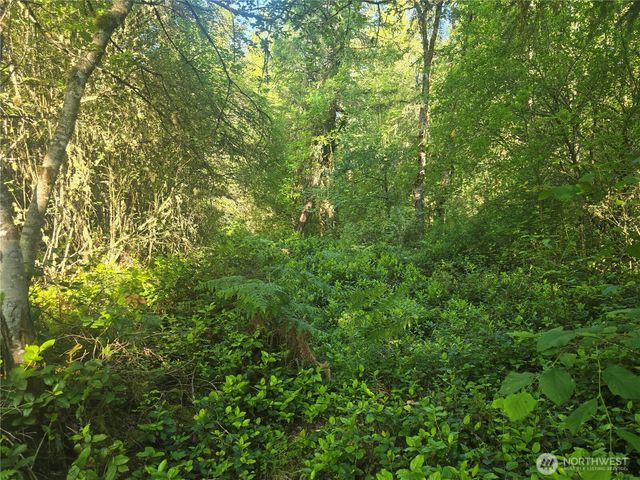 13721 Starflower Lane SE, Yelm, WA 98597