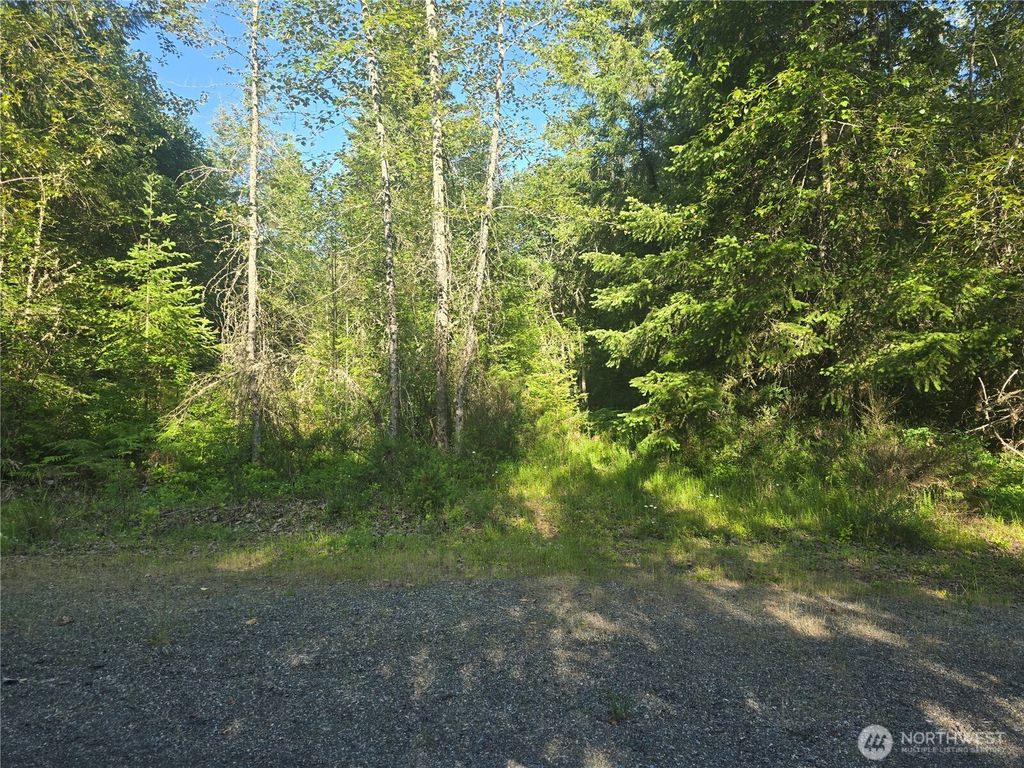 13721 Starflower Lane SE, Yelm, WA 98597