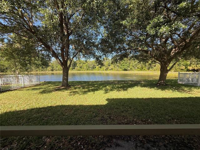 19138 MEADOW PINE DRIVE, Tampa, FL 33647