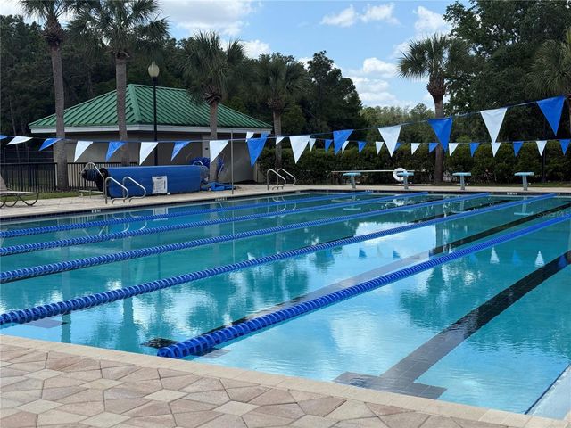 19138 MEADOW PINE DRIVE, Tampa, FL 33647