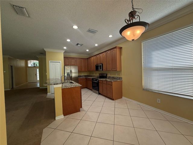 19138 MEADOW PINE DRIVE, Tampa, FL 33647