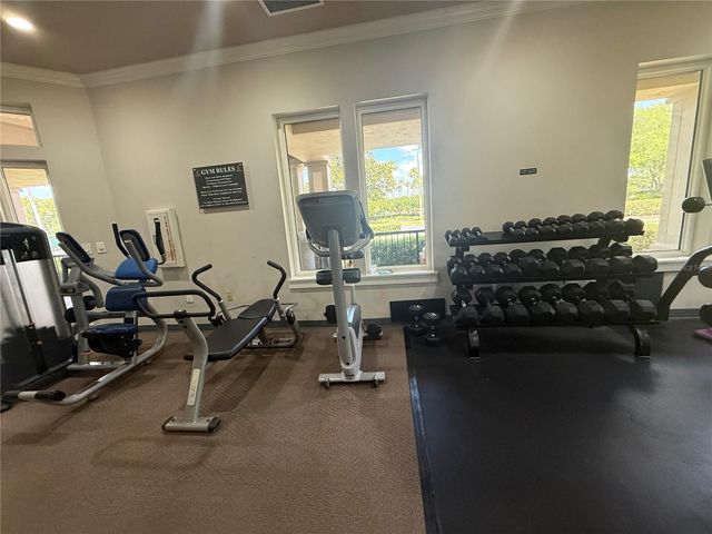 19138 MEADOW PINE DRIVE, Tampa, FL 33647