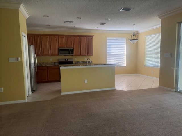 19138 MEADOW PINE DRIVE, Tampa, FL 33647