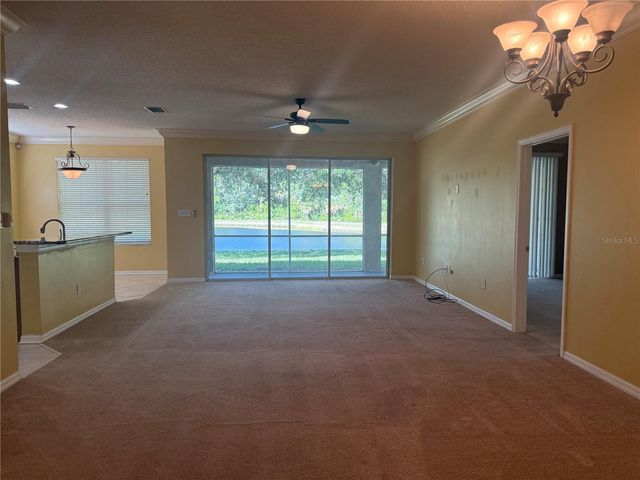 19138 MEADOW PINE DRIVE, Tampa, FL 33647