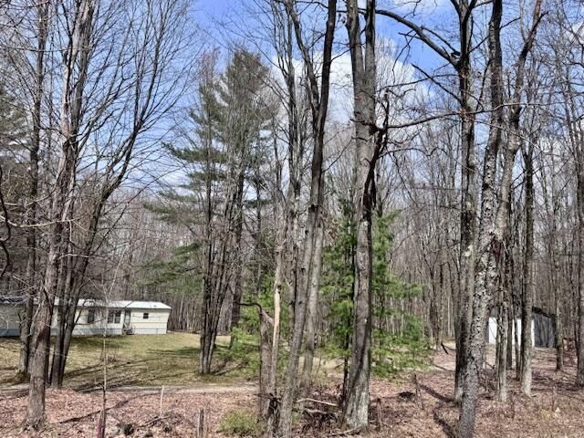 40+/- Acres 48th Street, Chase, MI 49623