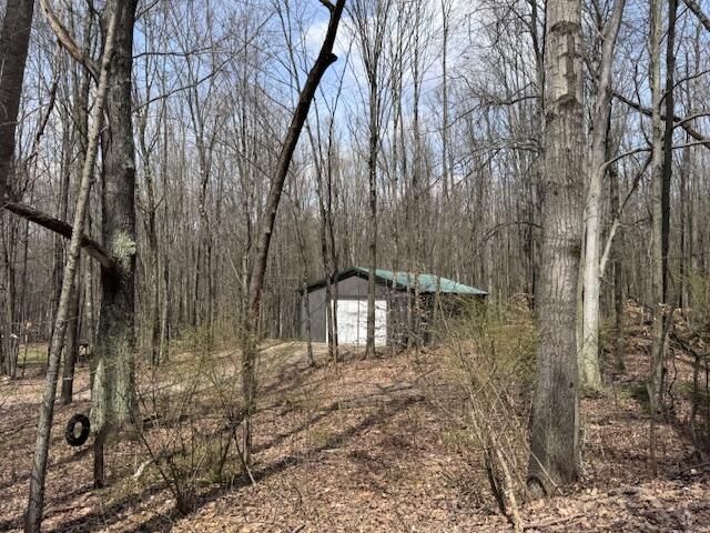 40+/- Acres 48th Street, Chase, MI 49623