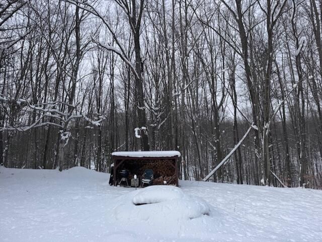 40+/- Acres 48th Street, Chase, MI 49623