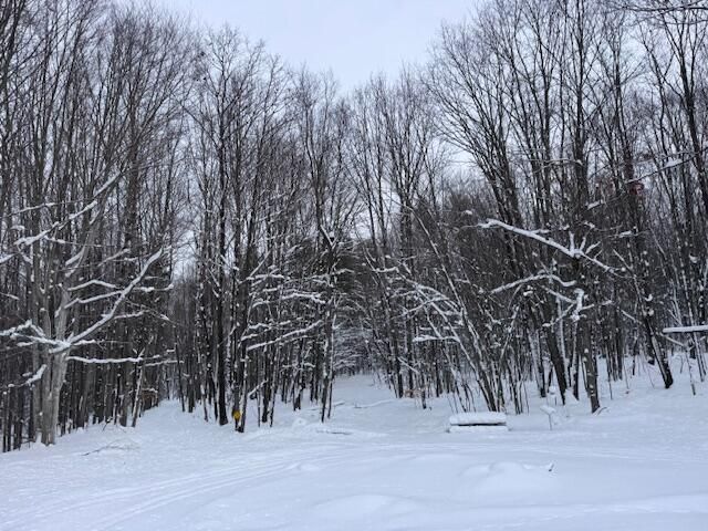 40+/- Acres 48th Street, Chase, MI 49623