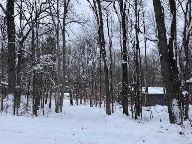 40+/- Acres 48th Street, Chase, MI 49623