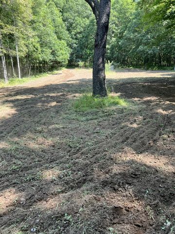 40+/- Acres 48th Street, Chase, MI 49623