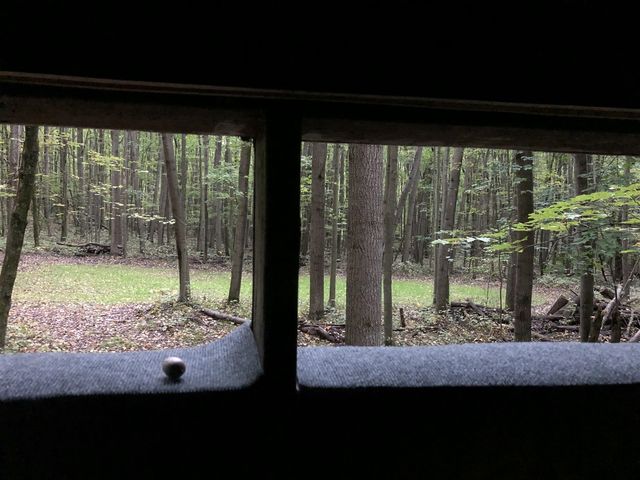 40+/- Acres 48th Street, Chase, MI 49623