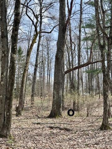 40+/- Acres 48th Street, Chase, MI 49623