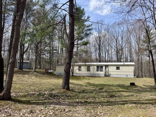 40+/- Acres 48th Street, Chase, MI 49623