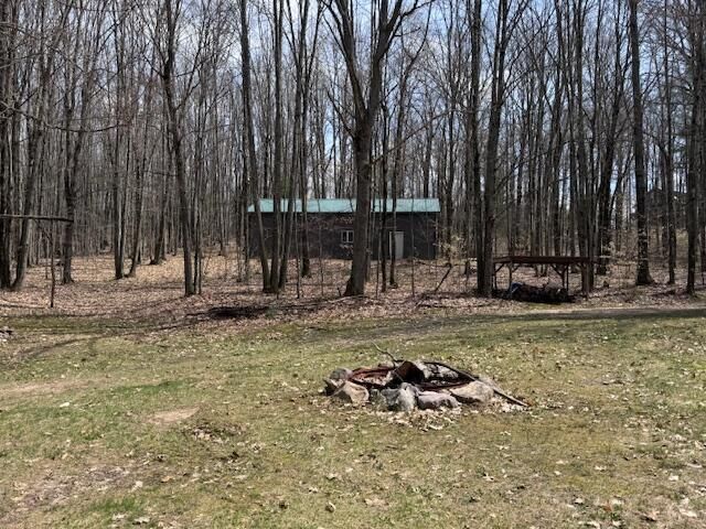 40+/- Acres 48th Street, Chase, MI 49623