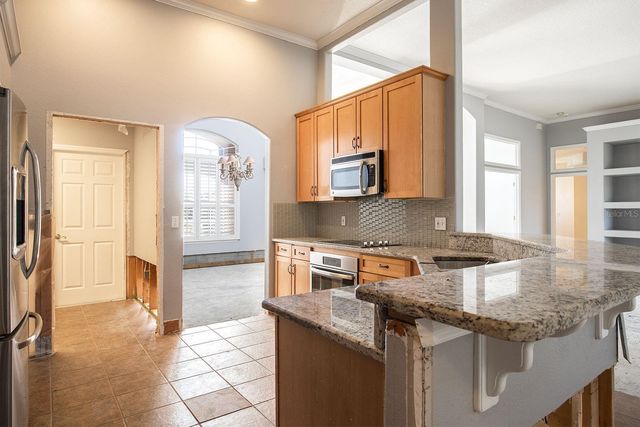 17419 TAILFEATHER COURT, Clermont, FL 34711