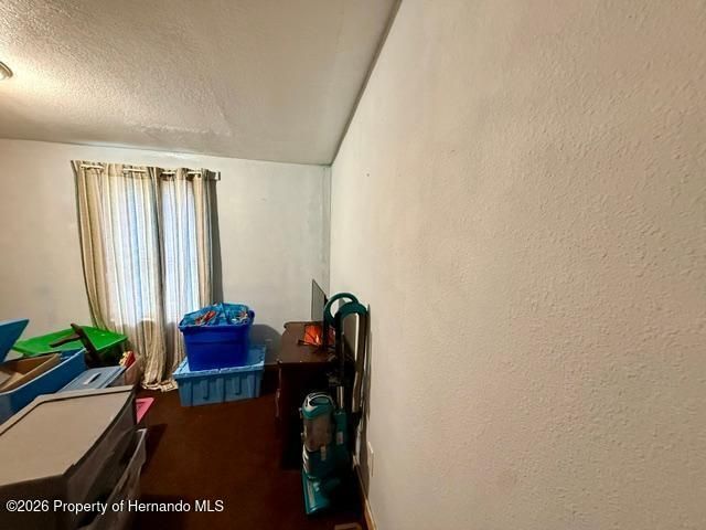 11340 SW 28th Way, Webster, FL 33597