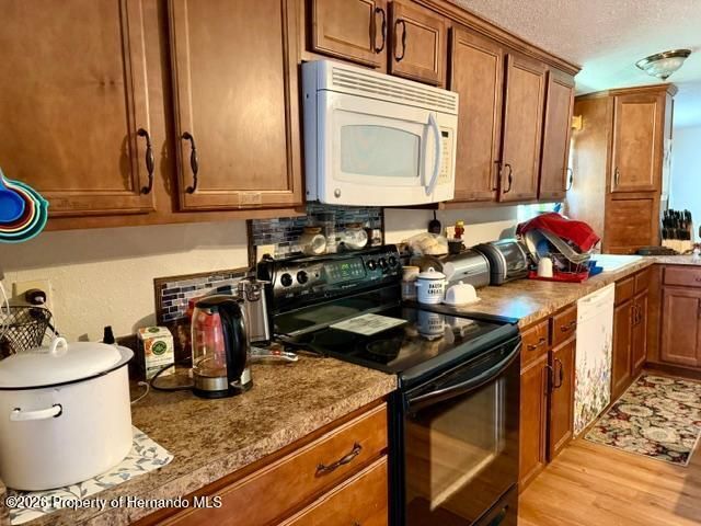 11340 SW 28th Way, Webster, FL 33597