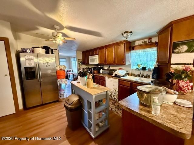 11340 SW 28th Way, Webster, FL 33597