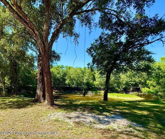 11340 SW 28th Way, Webster, FL 33597
