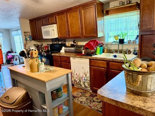11340 SW 28th Way, Webster, FL 33597