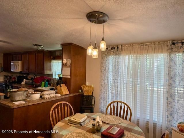 11340 SW 28th Way, Webster, FL 33597