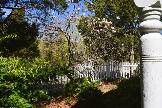 713 Sandwich Road, East Falmouth, MA 02536