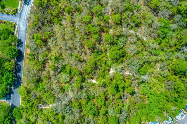 8550 SUNRISE KEY DRIVE, Kissimmee, FL 34747