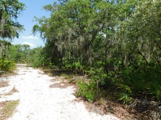 3201 SCRUB OAK LANE, Lake Wales, FL 33898