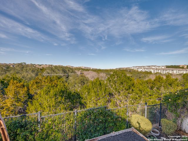 1403 Osnats Pt, San Antonio, TX 78258