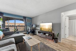 2610 Garfield Avenue 310, Minneapolis, MN 55408