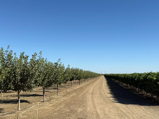 29000 El Dorado Ave, Five Points, CA 93210