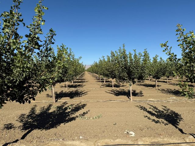 29000 El Dorado Ave, Five Points, CA 93210