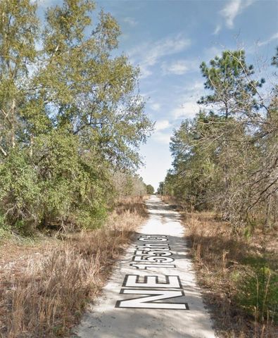 NE 155TH COURT, Williston, FL 32696