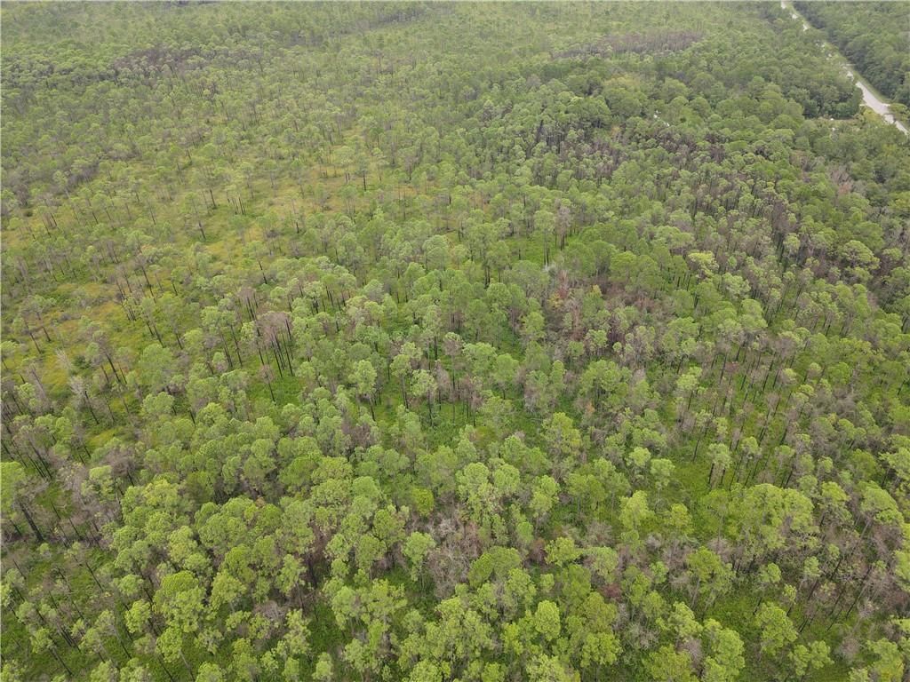 0 Dauphin Island Parkway, Coden, AL 36523 — photo 4