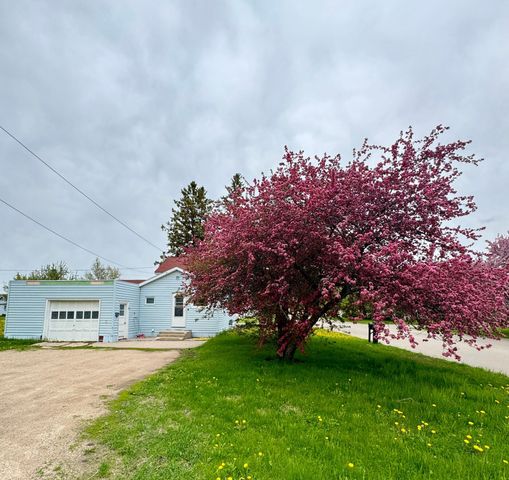 810 2nd Street NE, Roseau, MN 56751