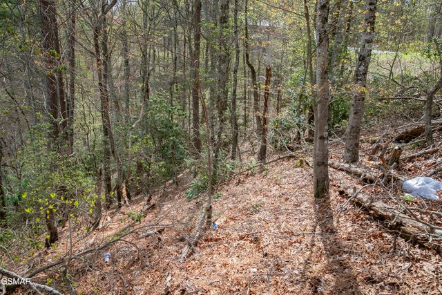 3059 Perry Circle Lane, Sevierville, TN 37862