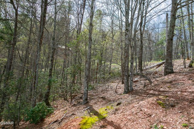 3059 Perry Circle Lane, Sevierville, TN 37862