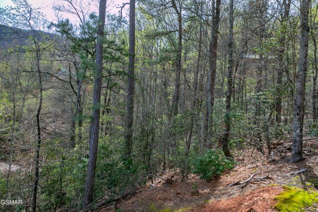 3059 Perry Circle Lane, Sevierville, TN 37862