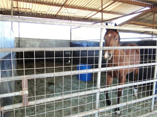 16350 Hercules, Hesperia, CA 92345